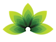 Elemental Health And Nutrition
