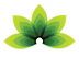 Elemental Health And Nutrition
