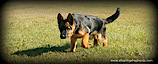 Elhart's logo Elhart's Company logo