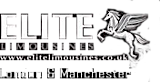 ELITE LIMOUSINES VIP PROTECTION SERVICES