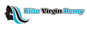 Elite Virgin Remy