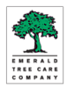 Emeraldtreecare