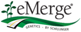 eMerge Genetics