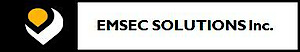 ESI's logo ESI's Company logo