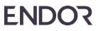Endor Software Ltd.