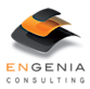 Engenia Consulting Sprl's logo Engenia Consulting Sprl's Company logo