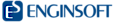EnginSoft's company profile