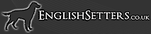English Setters's logo English Setters's Company logo