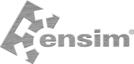Ensim Corporation