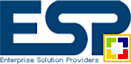 Enterprise Solution Providers