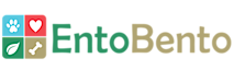 Entobento