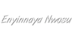 Enyinnaya Nwosu's logo Enyinnaya Nwosu's Company logo