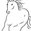 Equine Dental Princ