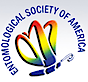 Entsoc