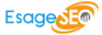 Searchgain's Competitor - Esage It Services logo