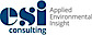ESI Consulting Ltd's company profile