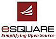 Esquare Info Solutions's logo Esquare Info Solutions's Company logo