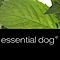 Essential Dog