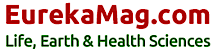 EurekaMag's logo EurekaMag's Company logo