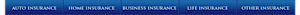 Evans Insurance Services