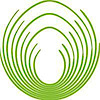 Evergreenlife, IT