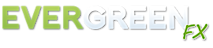 Evergreenfx's logo Evergreenfx's Company logo