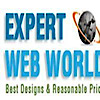 Expert Web World - Website Design, Seo, Domain Registration, Web Hosting's logo Expert Web World - Website Design, Seo, Domain Registration, Web Hosting's Company logo