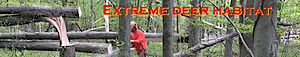 Extremedeerhabitat's logo Extremedeerhabitat's Company logo