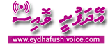 Eydhafushi Voice's logo Eydhafushi Voice's Company logo