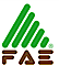 FAE USA