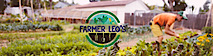 Farmer Leo's's logo Farmer Leo's's Company logo