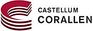 Castellum's logo Castellum's Company logo