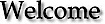 Cwuinc's Competitor - Federal Staffing Solutions logo