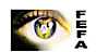 Fefao's company profile