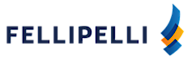 Fellipelli Consultoria's logo Fellipelli Consultoria's Company logo