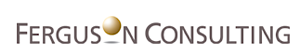 Ferguson Consulting Inc