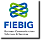 Fiebig + Team's logo Fiebig + Team's Company logo