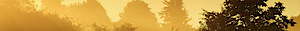Fitchville Conservation League's logo Fitchville Conservation League's Company logo