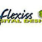 Flexiss's company profile