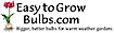 Flower Bulbs Online at EasytoGrowBulbs