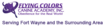 Dog Psychology and Training Center's Competitor - Flyingcolorscanine logo