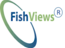Flying Fishviews - F2v's company profile