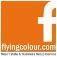 Kothari Auditors & Accountants's Competitor - Flyingcolour logo