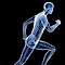Advanced PT's Competitor - Focus On Function logo