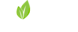 Fox Energy Specialists's Competitor - Force Energy Solutions logo
