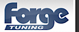 Forge Tuning's logo Forge Tuning's Company logo