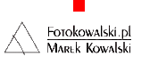 Fotokowalski's logo Fotokowalski's Company logo