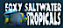 Foxy Saltwater Tropical Fish