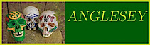 Free Company Of Anglesey's logo Free Company Of Anglesey's Company logo