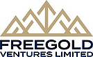 Freegold Ventures